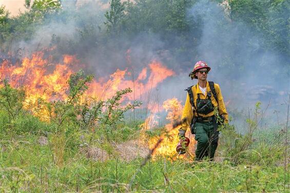 man lighting a prescribed burn