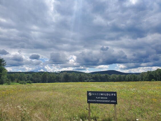 a wma sign in a field with mountains in the background