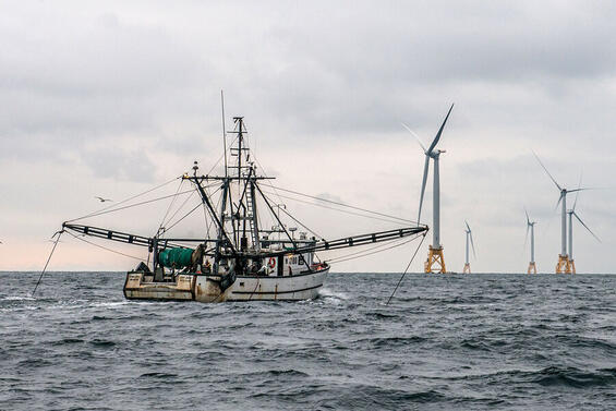 Fishing vessel with offshore wind infrastructure in the distance.