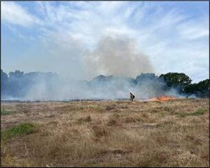 Prescribed fire was used to clear thatch before native grasses were planted.