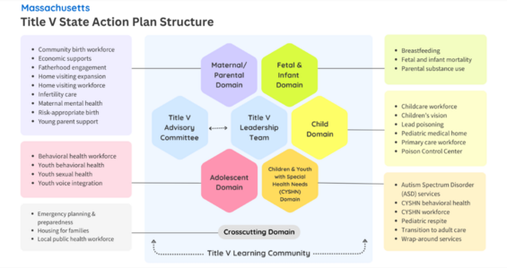 Colorful graphic summarizes seven key focus areas for implementing the Massachusetts Title V State Action Plan