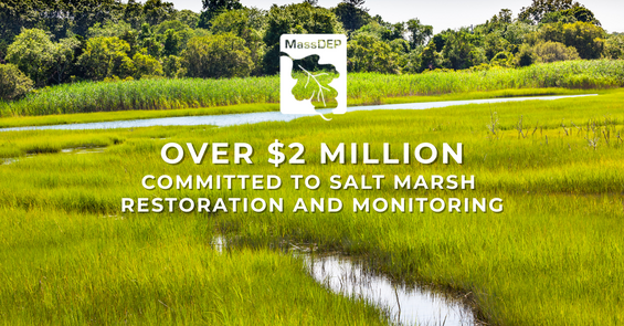 Padnaram Green Salt Water Marsh in Dartmouth Massachusetts, Credit: Getty Images