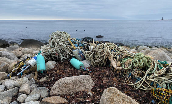 Marine debris on a beach in Rockport