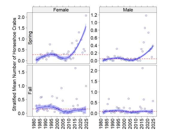 A figure showing abundance trends for horseshoe crabs by season and sex for the survey region south of Cape Cod from the MA DMF trawl survey.