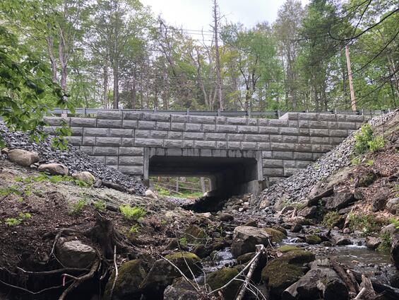 Finished culvert surrounded by stream bed and forest