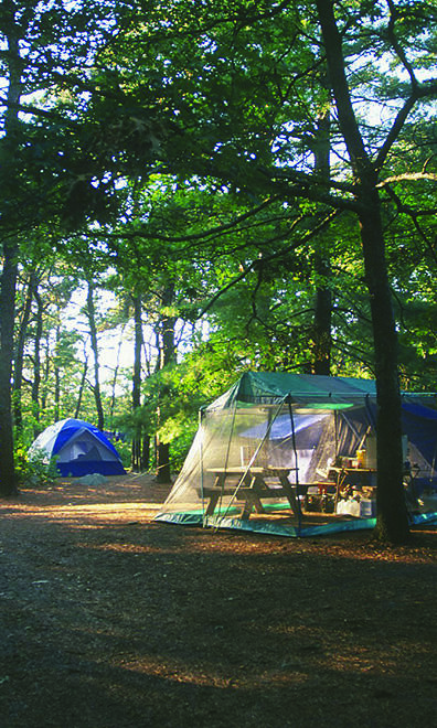 tent in woods