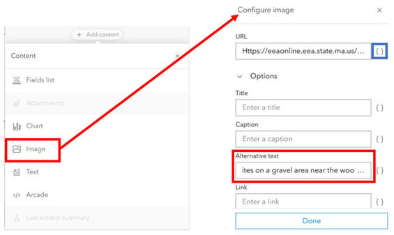 Annotated screenshot adding alt text to image in a pop-up.