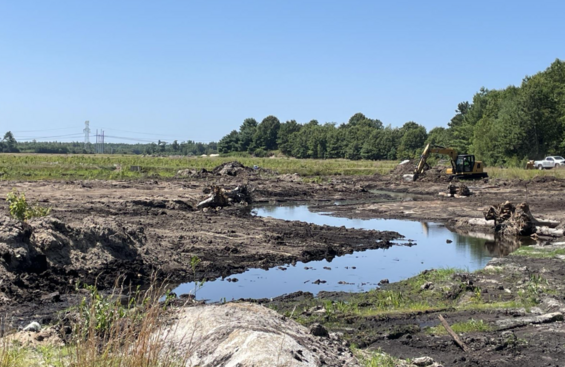 Construction underway at South Meadow Wetland in Carver, MA