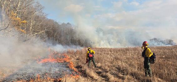 two people in fire equipment leading a prescribed fire