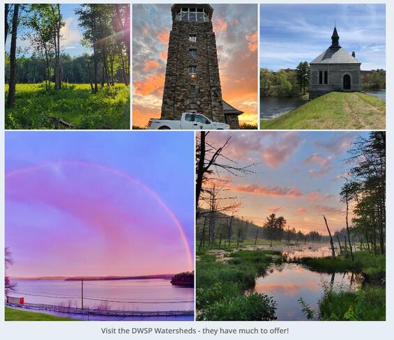 Image gallery with dynamic squares set to small.