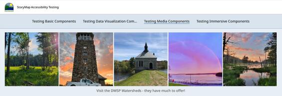 Image gallery with dynamic squares set to medium.