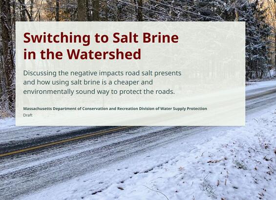 A StoryMap with an altered Full cover. More details in caption.