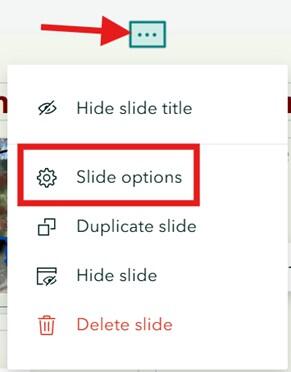 Screenshot of slide options. More details in caption.