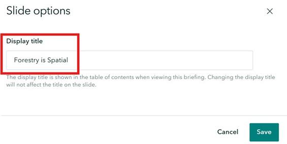 Screenshot of adding a display title. More detail in caption.