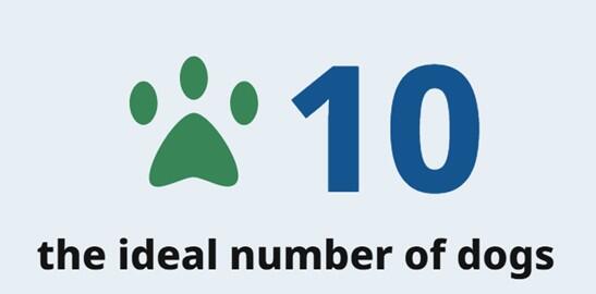 A sample compact infographic.