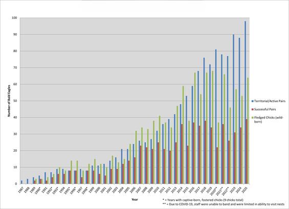 Graph of Bald Eagle pairs and fledglings in Massachusetts 1987-2025