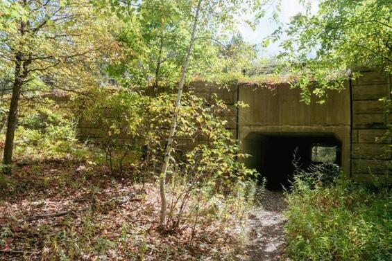 A wildlife crossing structure