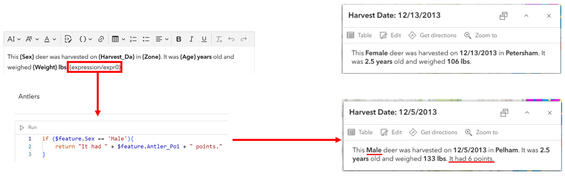 Screenshot of steps creating sentence structure in a pop-up. More details in caption.