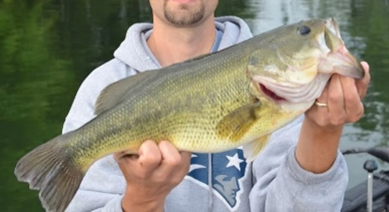 person holding a bass 