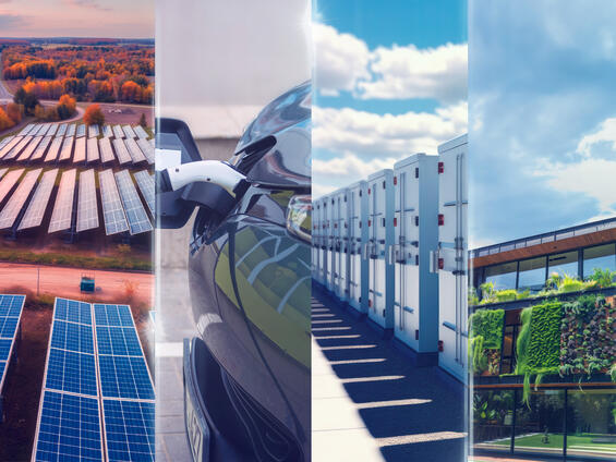 Link, Executive Order 594: Leading By Example