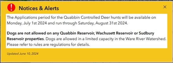 Example of the Alert Fixed Window option available in Experience Builder.