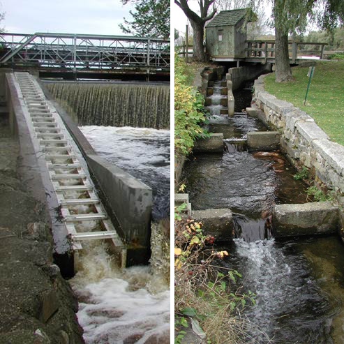 Two examples of fishways.