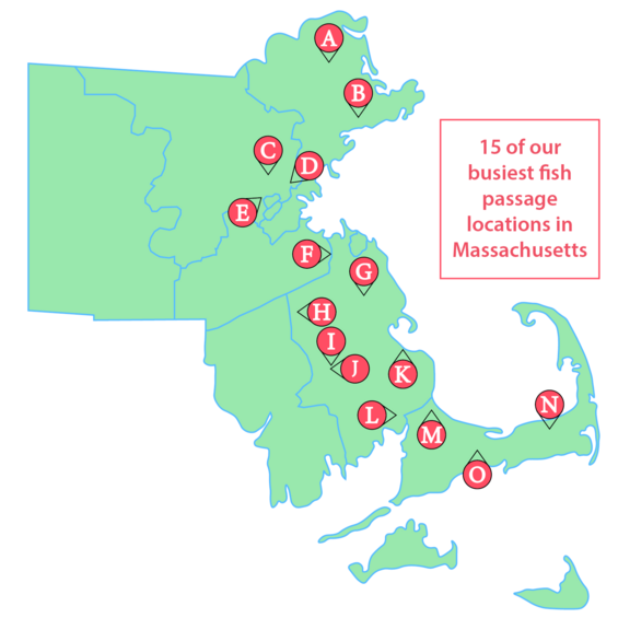Map of best locations in Massachusetts to view a busy herring run.