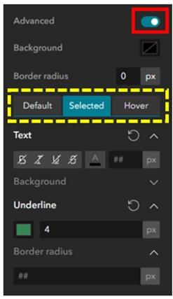 Screenshot of the advanced formatting setting for menu options. More details in caption.