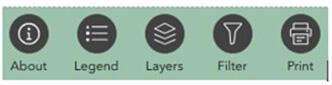 Custom large widget controller icon size.