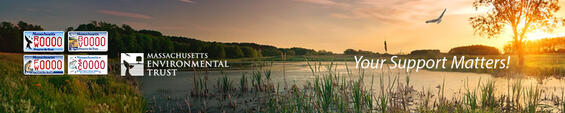lake at sunset