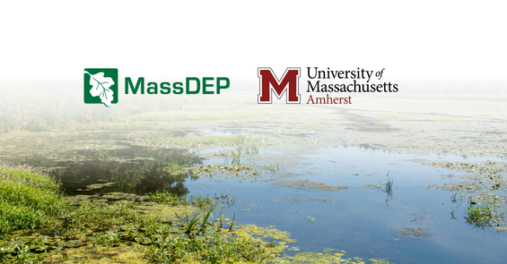 Scenic Wetland View in Northampton, Massachusetts by Tim Dusenberry