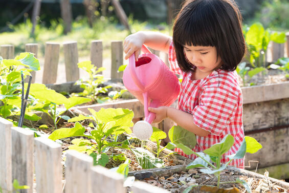 Child watering garden