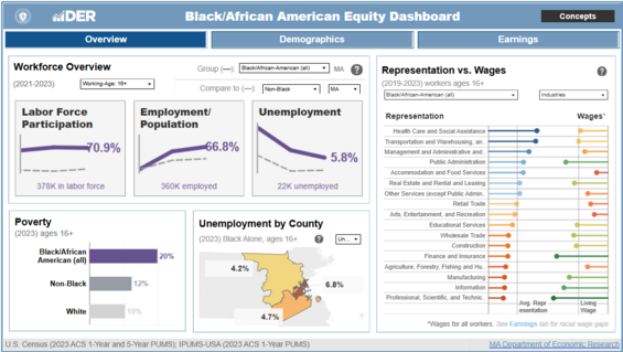 Screenshot of the default view of the Black/African American Equity Dashboard