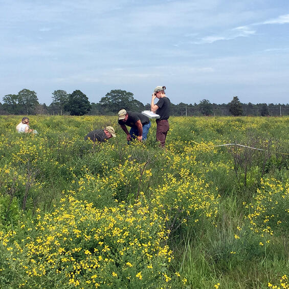 biologists monitoring grassland habitat