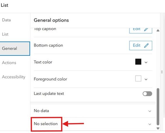 Screenshot of the No selection option for lists.