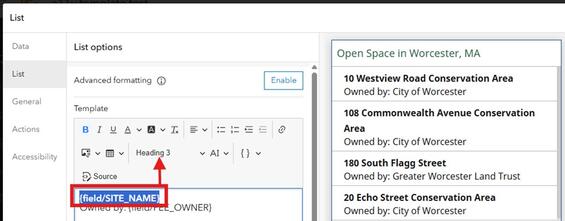 A list element configured to show how to use H3 for nested items. More details in caption.