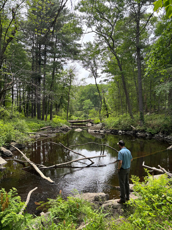 A man standing at the edge of a river pool in a forest.