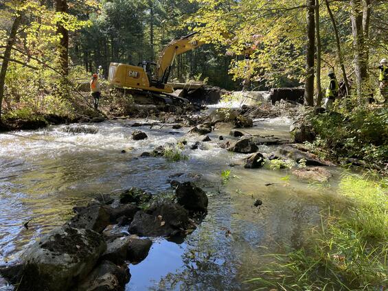 Larkin Mill Dam