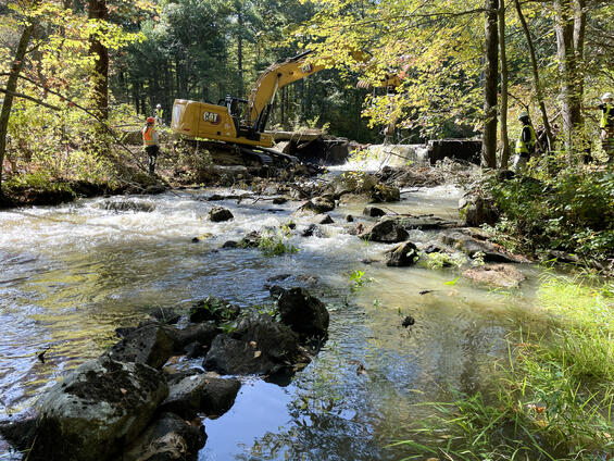 Excavator and workers restoring a stream in a wooded area.