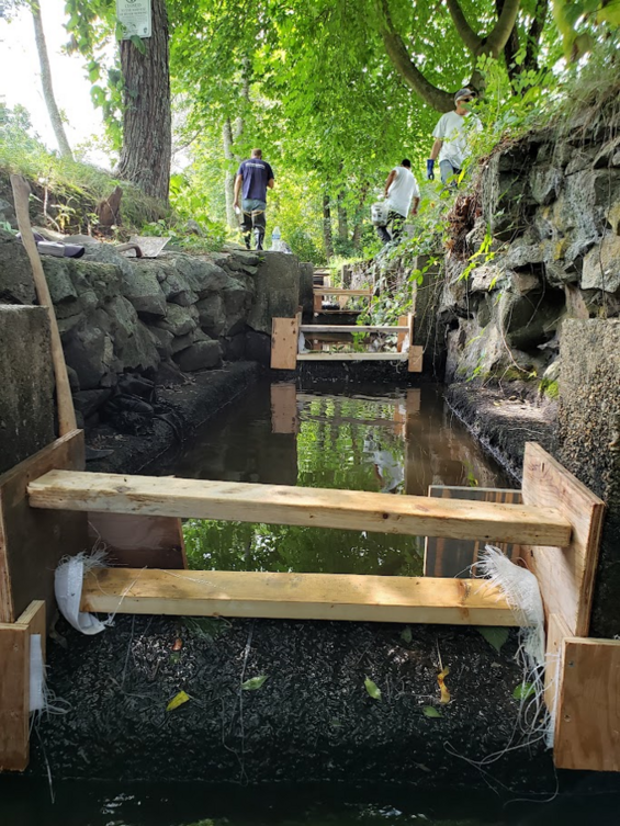 Fish ladder on a river dam.
