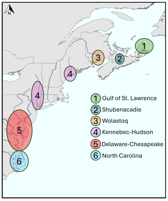 A map displaying striped bass genetic population groups.