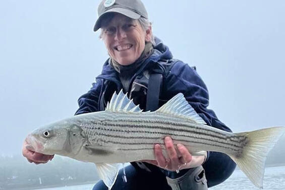An angler holding a striped bass they caught.