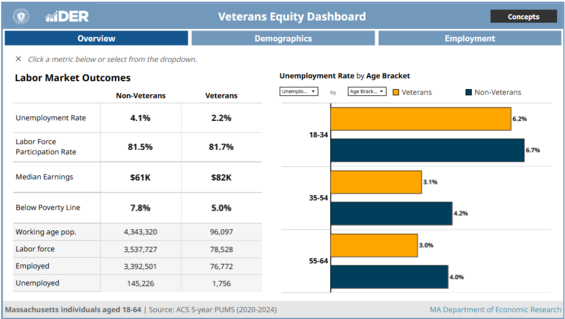 Screenshot of the default view of the Veterans Equity Dashboard