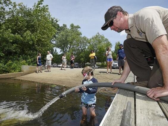 A biologist using a large hose to release fish larvae in the river.