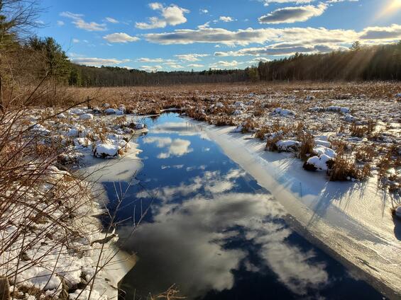 Harvard Woodside to W. Bare Hill Rd Bowers Brook