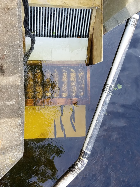An electronic fish counter in a river.