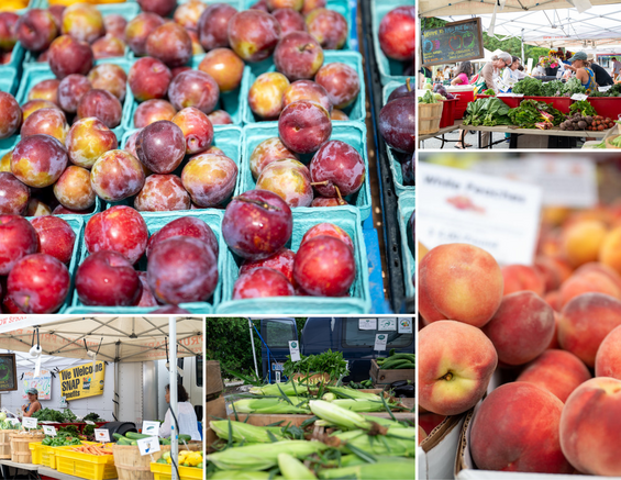 A collage image of fruits and vegetables at the Belmont Farmers Market
