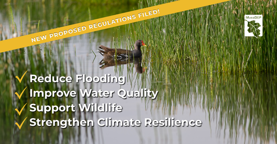 New Proposed Ecological Restoration Regulations Filed 