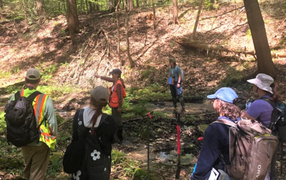 A group of people walk on a trail