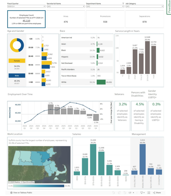 This is a screenshot of the workforce demographic section of the dashboard. Its description follows as the section content.